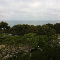 фото из отзыва ID 1522246