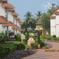 фото из отзыва ID 1522303