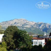 фото из отзыва ID 1522311