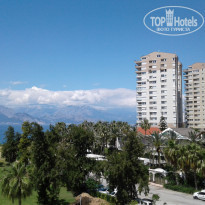 фото из отзыва ID 1522684