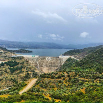 фото из отзыва ID 1522707