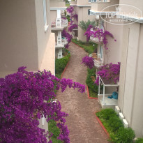 фото из отзыва ID 1522801