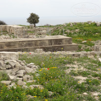 фото из отзыва ID 1522803