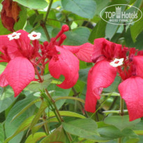 фото из отзыва ID 1522978