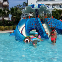 фото из отзыва ID 1522991