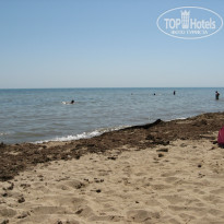 фото из отзыва ID 1523038