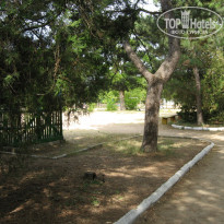 фото из отзыва ID 1523038