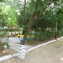 фото из отзыва ID 1523038