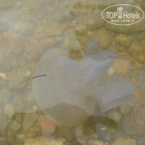 фото из отзыва ID 1523038