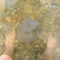 фото из отзыва ID 1523038