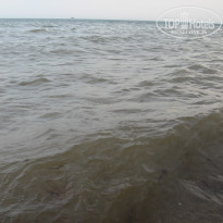 фото из отзыва ID 1523038