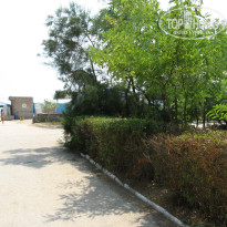 фото из отзыва ID 1523038