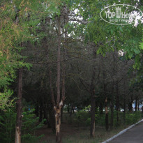 фото из отзыва ID 1523038