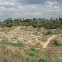 фото из отзыва ID 1523038