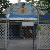 фото из отзыва ID 1523038