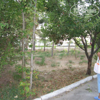 фото из отзыва ID 1523038