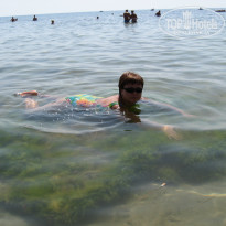 фото из отзыва ID 1523038