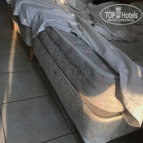 фото из отзыва ID 1523143