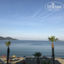 фото из отзыва ID 1523118