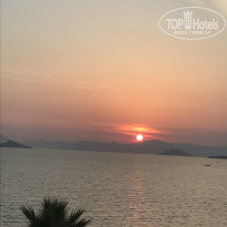 фото из отзыва ID 1523118