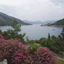 фото из отзыва ID 1522815