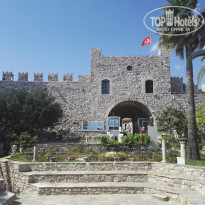 фото из отзыва ID 1522815