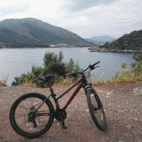 фото из отзыва ID 1522815