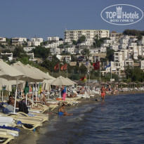 фото из отзыва ID 1523323