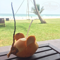 фото из отзыва ID 1523365