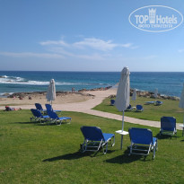 фото из отзыва ID 1523469