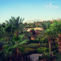 фото из отзыва ID 1523481