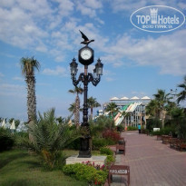 фото из отзыва ID 1523636