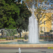 фото из отзыва ID 1523666