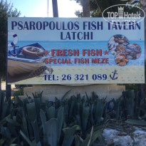 фото из отзыва ID 1523702