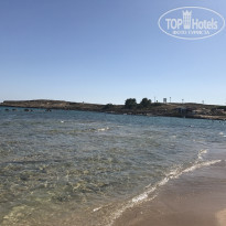 фото из отзыва ID 1524106