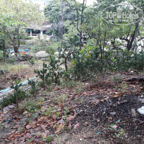 фото из отзыва ID 1524118