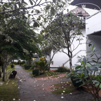 фото из отзыва ID 1524118