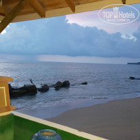 фото из отзыва ID 1524225