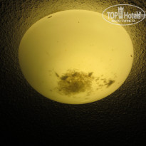 фото из отзыва ID 1524395