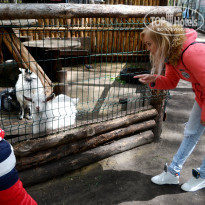 фото из отзыва ID 1524501