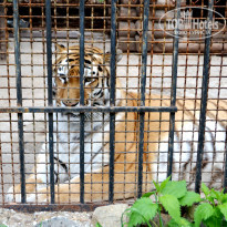 фото из отзыва ID 1524501