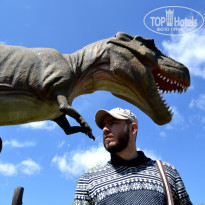 фото из отзыва ID 1524501