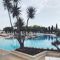 фото из отзыва ID 1524608