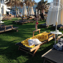 фото из отзыва ID 1524774