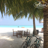 фото из отзыва ID 1524849