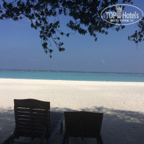 фото из отзыва ID 1524849