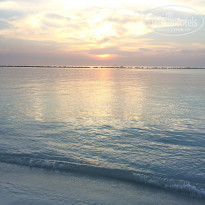 фото из отзыва ID 1524849