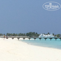 фото из отзыва ID 1524849