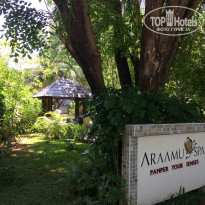 фото из отзыва ID 1524849