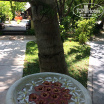 фото из отзыва ID 1524849